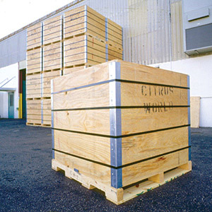 Collapsible engineered wood bins can ship everything from heavy machine parts to delicate agricultural products